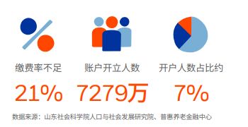 截图来源：《2025中国养老金金融白皮书》