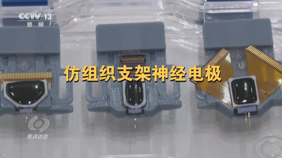 焦点访谈|“心想”变“事成”!“十五五”规划建议布局脑机接口产业